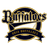 Orix Buffaloes